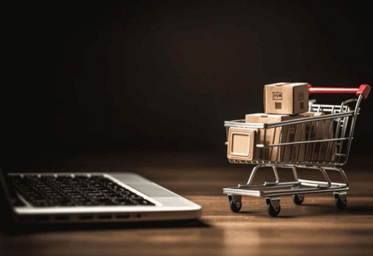 Ecommerce / Online Portals