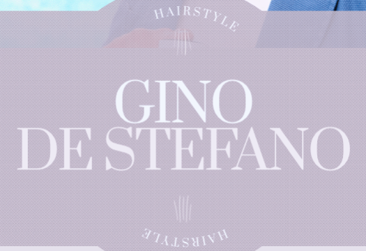 Gino Se Stefano 