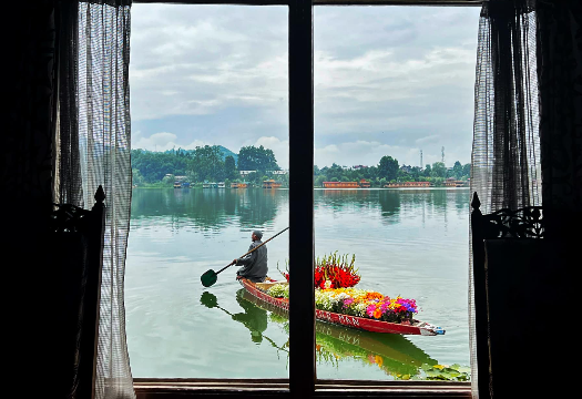 Houseboat Lily of Nageen